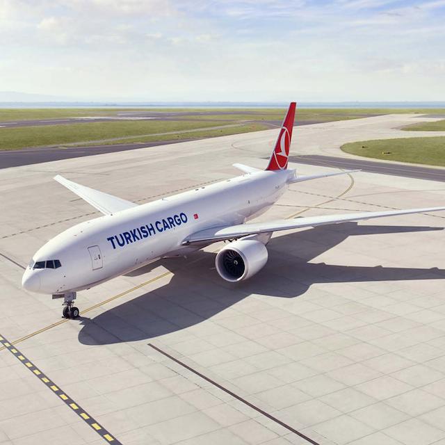 Rules for transporting pets with Turkish Airlines from London to Tehran